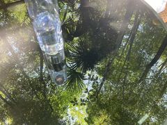 -花水湾第一村温泉大酒店