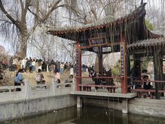 -桃花堤公园