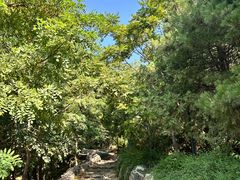 -阳台山自然风景区