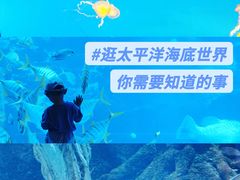 -太平洋海底世界