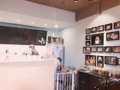 -藦茜花园宠物主题亲子互动体验馆(国顺东路店)