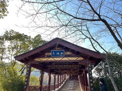 -长广溪湿地公园