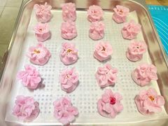 -优护优家Ucare月嫂育儿嫂陪伴师(静安店)
