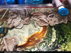 -V-ONE西雅图海鲜自助餐厅(仓山万达广场店)