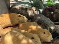 -水上乐园·欢乐世界