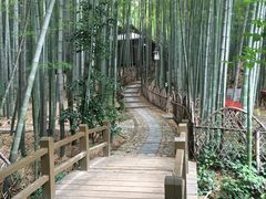 -宝岩生态观光园