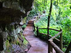 -碧峰峡风景区
