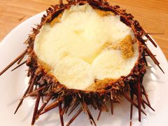 -海胆小馆(东北水饺·春柳店)