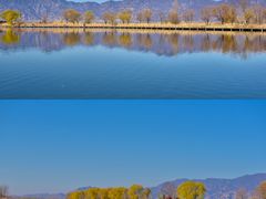 -野鸭湖国家湿地公园