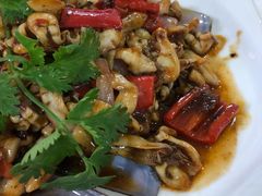 圣子皇-蚝专家(北滘店)