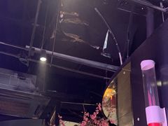 -老板恋上鱼(高新万达店)
