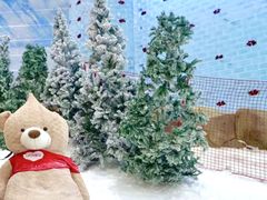 -广州热雪奇迹