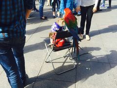 -滴血救世主教堂