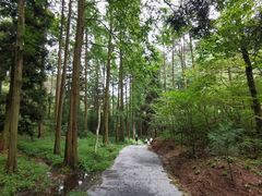 -罗田薄刀峰风景区