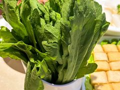 -浩爷羊蝎子火锅(望京店)