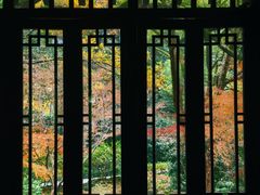 -中国茶叶博物馆(双峰馆区)