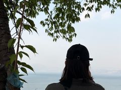-洱海月湿地公园