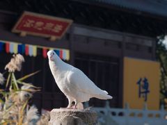 -重元寺