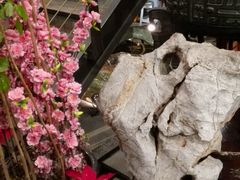-功德林(南京西路店)