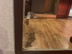 -普陀山祥生大酒店
