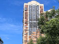 -溪岸路花鸟市场