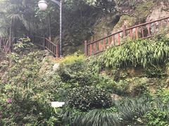 -十八棵（老龙井）御茶园(老龙井店)
