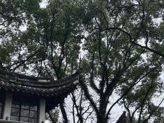 -溪口-滕头旅游景区