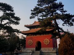 -普陀宗乘之庙