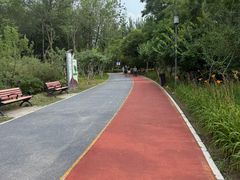 -大兴滨河森林公园