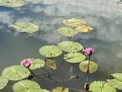 -云溪植物园