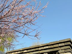 -三里河公园