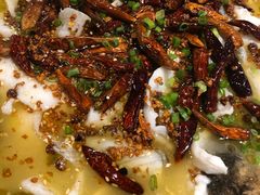 -九毛九西北菜(盈信广场店)