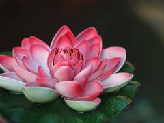 -西安市广仁寺