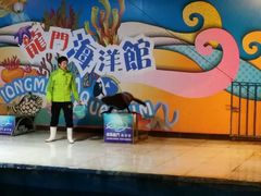 -洛阳龙门海洋馆