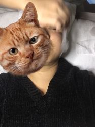 -奈瑞儿美颜塑身SPA