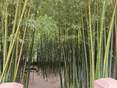 -泰山风景名胜区-普照寺