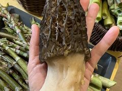 -野菌王•养生汤锅•野生菌火锅(大理漾濞路店)