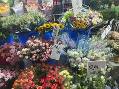 -循礼门鲜花花市(武汉循礼门店)