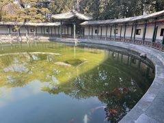 -香山公园