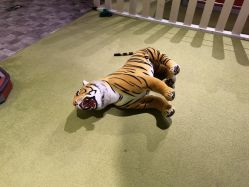 -幻贝家儿童乐园(苏州中心店)