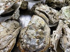 -蚝哥花姐湛江烤生蚝(美丽湾市场店)