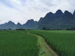 -村上春树