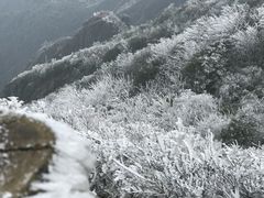 -金子山原生态旅游风景区