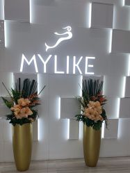 -深圳美莱医疗美容医院