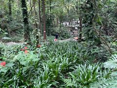 -广州市白云山风景名胜区