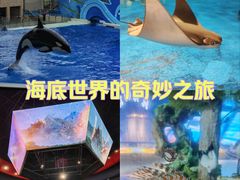-上海海昌海洋公园