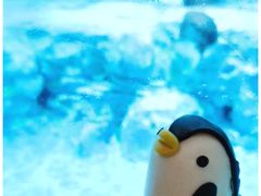 企鹅奶黄包-帝企鹅自助餐厅•儿童岛•真企鹅(长隆企鹅酒店)