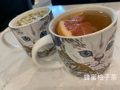 柠檬茉莉茶-飞行喵MR PILOT|猫舍·猫咖(静安大融城店)