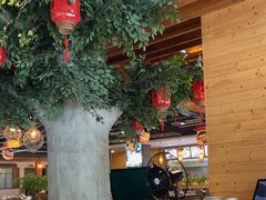 -龙泉人椰子鸡.糟粕醋.海南菜(三亚旗舰店)