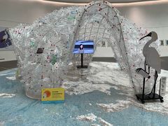 -中国湿地博物馆